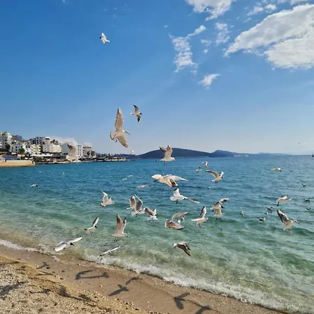 Infinity Sea View Penthouse * Sarande